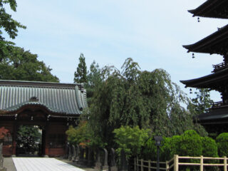 Saishoin Temple Five-Storied Pagoda