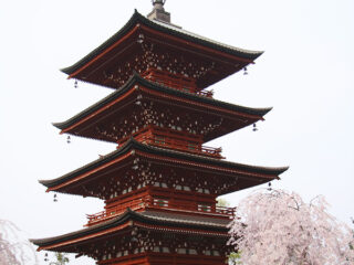 Saishoin Temple Five-Storied Pagoda