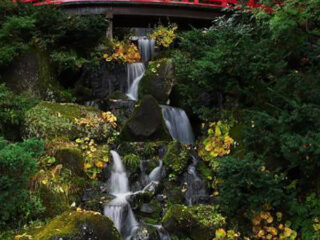 Fujita Memorial Garden