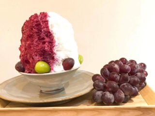 Fujita Memorial Garden