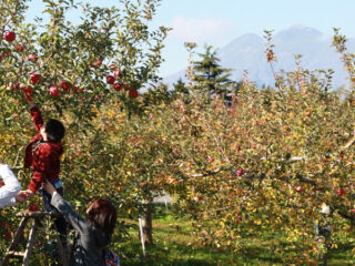 Hirosaki City Apple Park