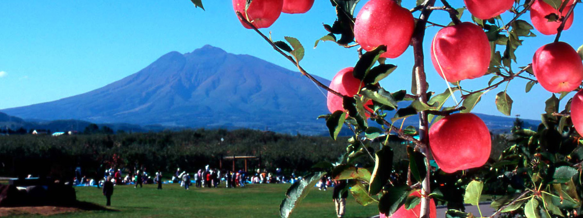 Hirosaki City Apple Park