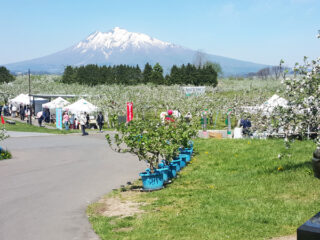 Hirosaki City Apple Park