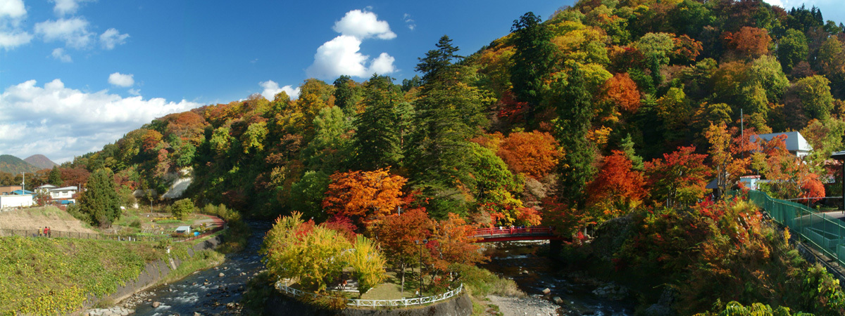 Nakano-Momiji-yama Fall Foliage