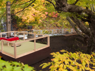 Nakano-Momiji-yama Fall Foliage