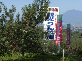 Kuroishi Tourist Apple garden