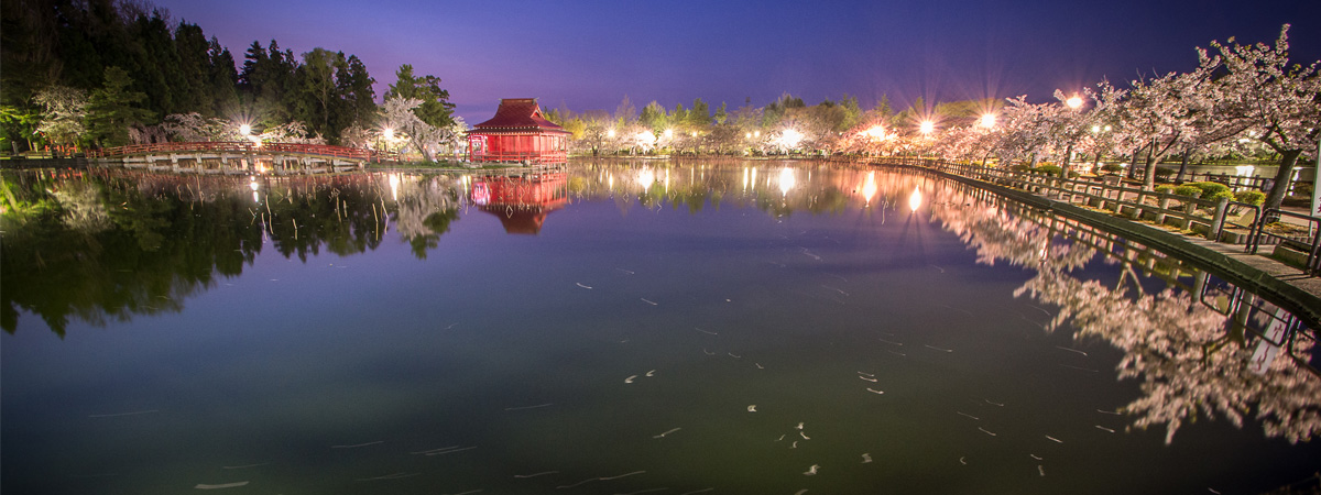 Saruka Park