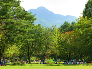 Ajigasawa Camping Park