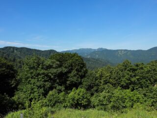 Mother Tree and Tsugarutoge