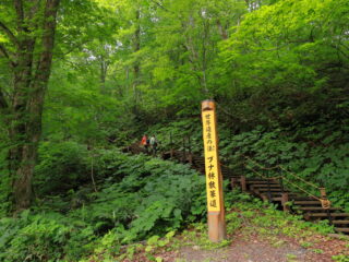 Hike around the World Heritage Site / Stroll through the beech forest