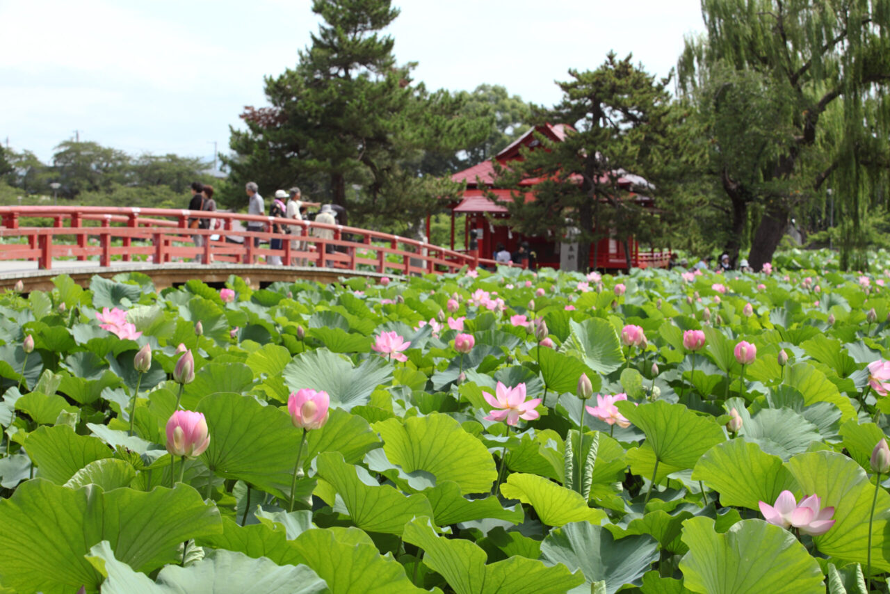 Saruka Shrine