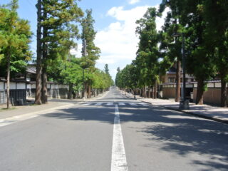 Zen Temple Area (Including Choshoji Temple)