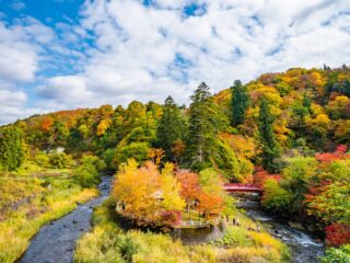 Nakano-Momiji-yama Fall Foliage
