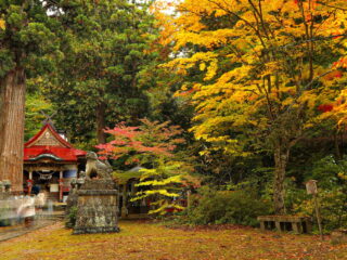 Nakano-Momiji-yama Fall Foliage