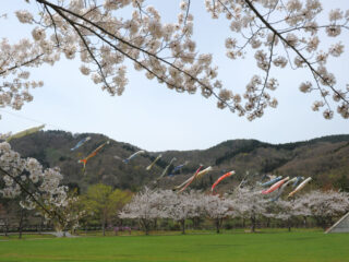 Michi no Eki Nijinoko Park (Roadside Station)