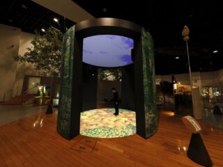 Shirakami-Sanchi Visitor Center