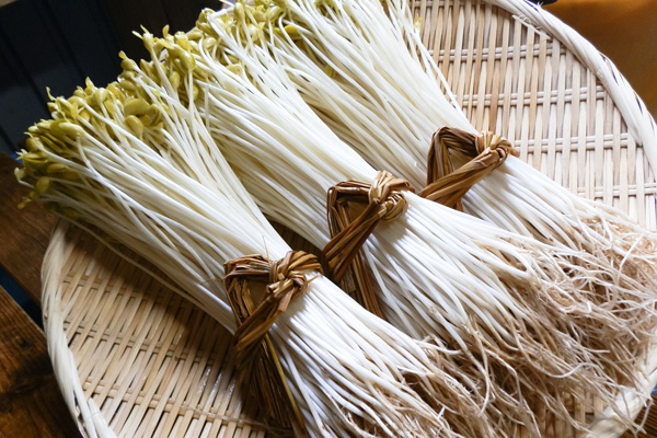 Owani Onsen Moyashi Bean Sprouts
