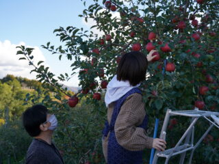 農家さんと行く！りんご収穫体験とオリジナルりんごジャム作り！！