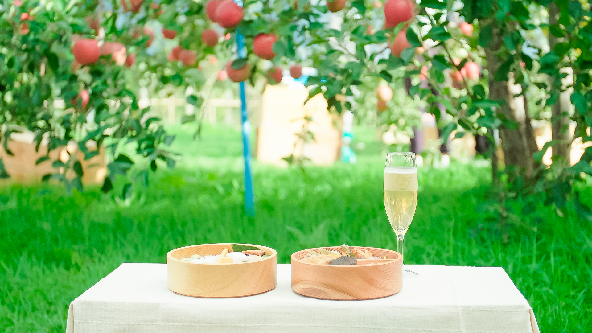 各日16名様限定！】弘前シードルダイニング - Time Trip Tsugaru