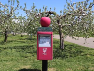 りんご公園お手軽ピクニックプラン