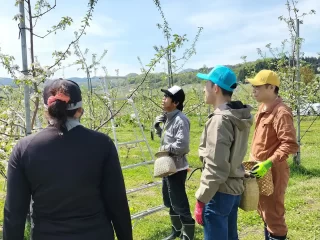 ＼りんご生産量日本一／ りんご収穫・農作業体験 ～みらいファーム・ラボ～