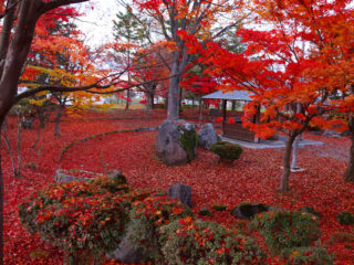 猿賀公園　紅葉まつり２０２３