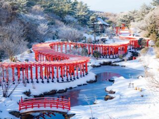 ツガルツナガル周遊観光バスツアー【1月21日（水）～24（土）、28日（水）～31日（土）限定！】