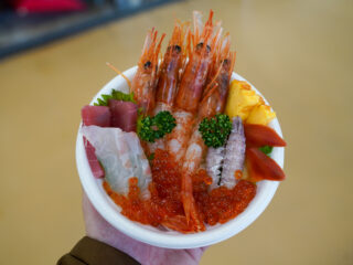 ツガルツナガル周遊観光バスツアー【1月21日（水）～24（土）、28日（水）～31日（土）限定！】