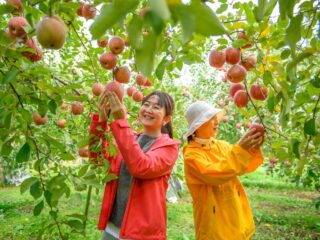 りんご農家のおいしい休日 秋ver.