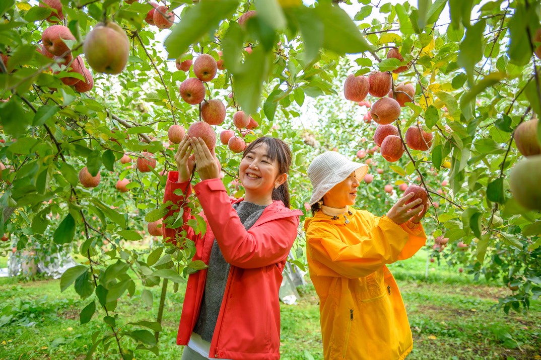 りんご農家のおいしい休日 秋ver. - Time Trip Tsugaru 青森県津軽地域