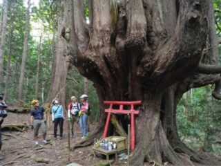 奥津軽アドベンチャーグラベルライド