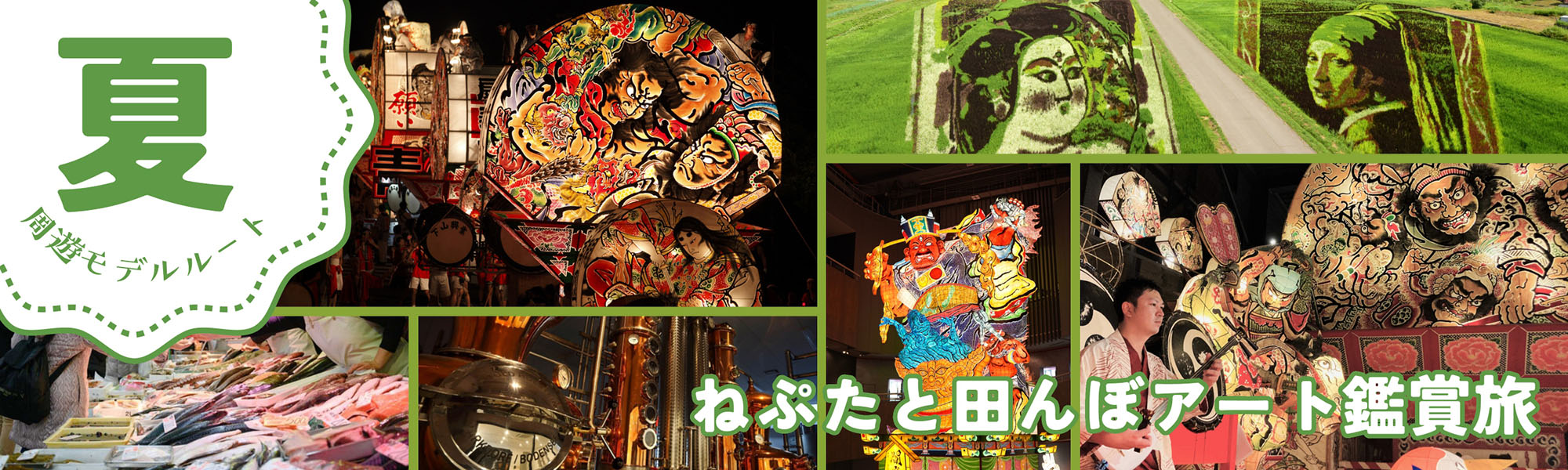 モデルルート夏