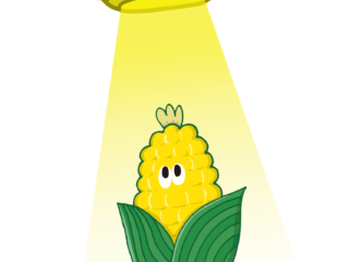 嶽きみ特化型ギフトショップ「CORN KING」